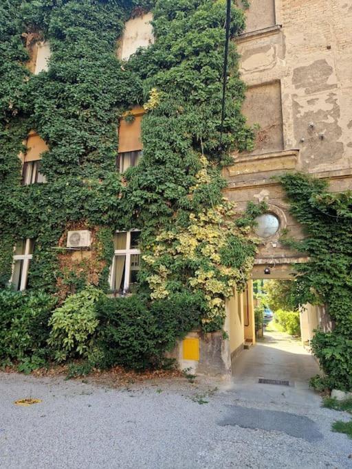 Olden House-Central Apartment-Parking Zagreb Dış mekan fotoğraf
